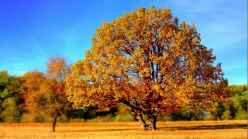 L'autunno si affaccia sull'Italia: qualche pioggia e temperature in forte calo